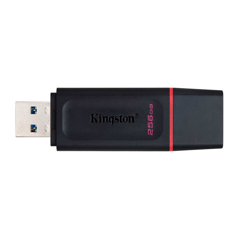 Memoria Kingston Datatraveler Exodia 256GB Usb 3.2 Flash Drive
