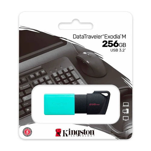 KINGSTON DTXM/256GB Memoria USB 3.2 256GB Exodia M