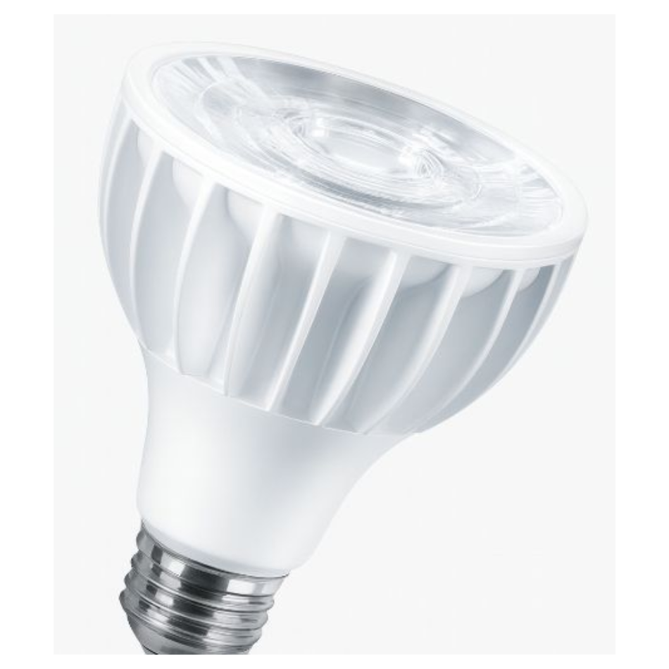 DIXON TOPAR3030WL-LF FOCO LED  PAR30 30W LUZ FRIA