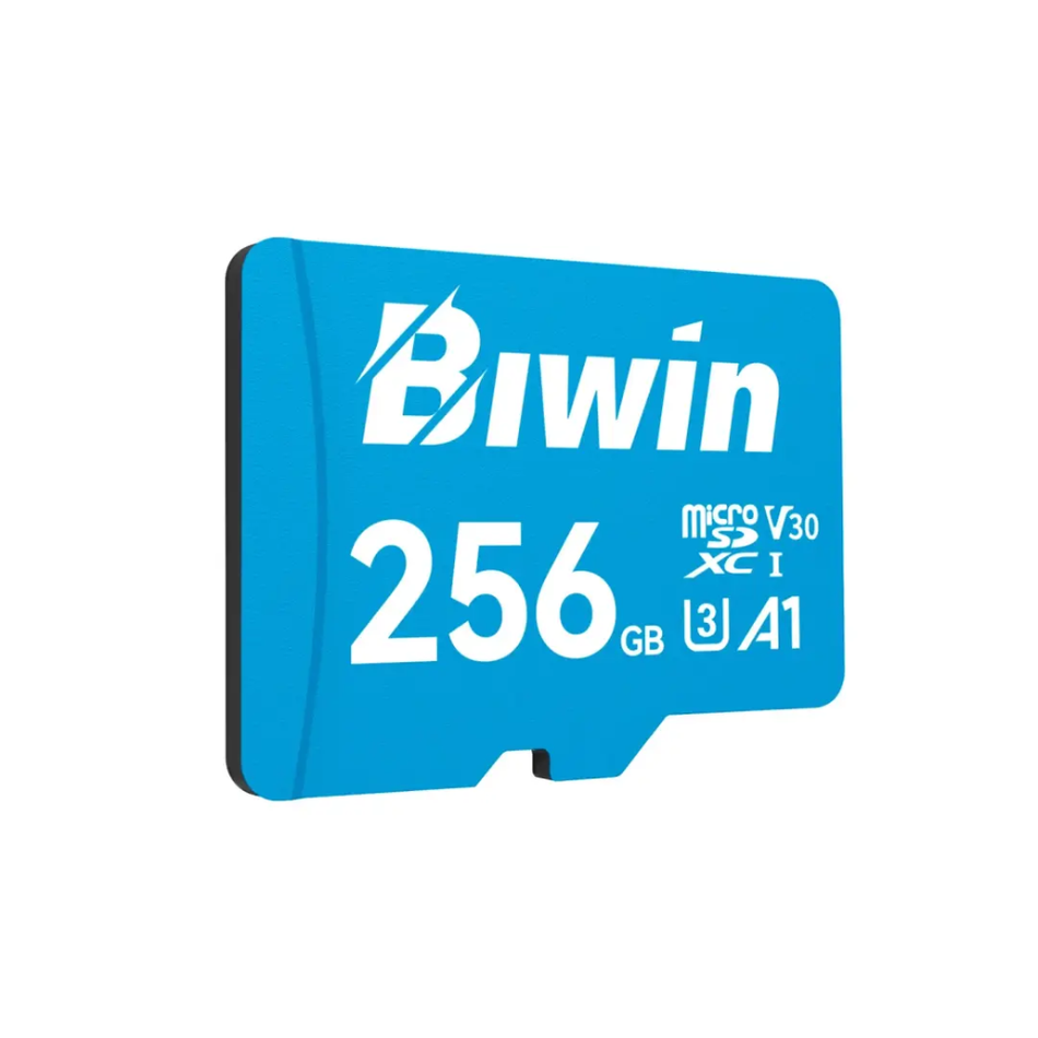 MEMORIA BIWIN MICROSA MS100 256GB