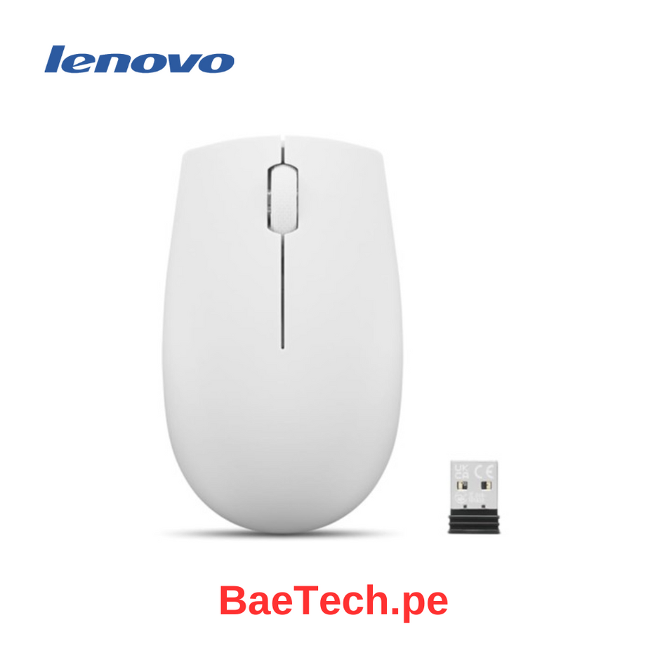 Mouse compacto inalámbrico Lenovo 300, gris nube, USB - GY51L15686