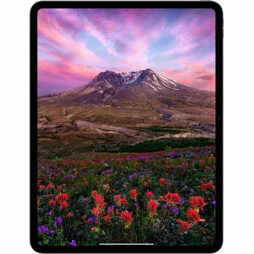 Apple iPad Pro de 11 pulgadas M4 Nona-core 8GB 512GB